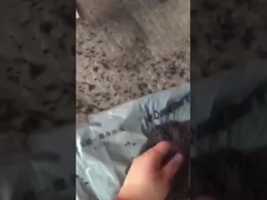 Wideo pracy granulacji nawozów kulkowych