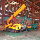 XDEM 10T 12T Mini żuraw pająkowy żuraw żuraw hydrauliczny