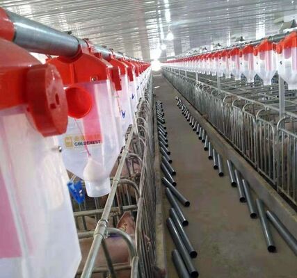 Livestock Fattening Feed Line Fully Automatic Feeding Line Equipment Livestock Equipment Manufacturer
